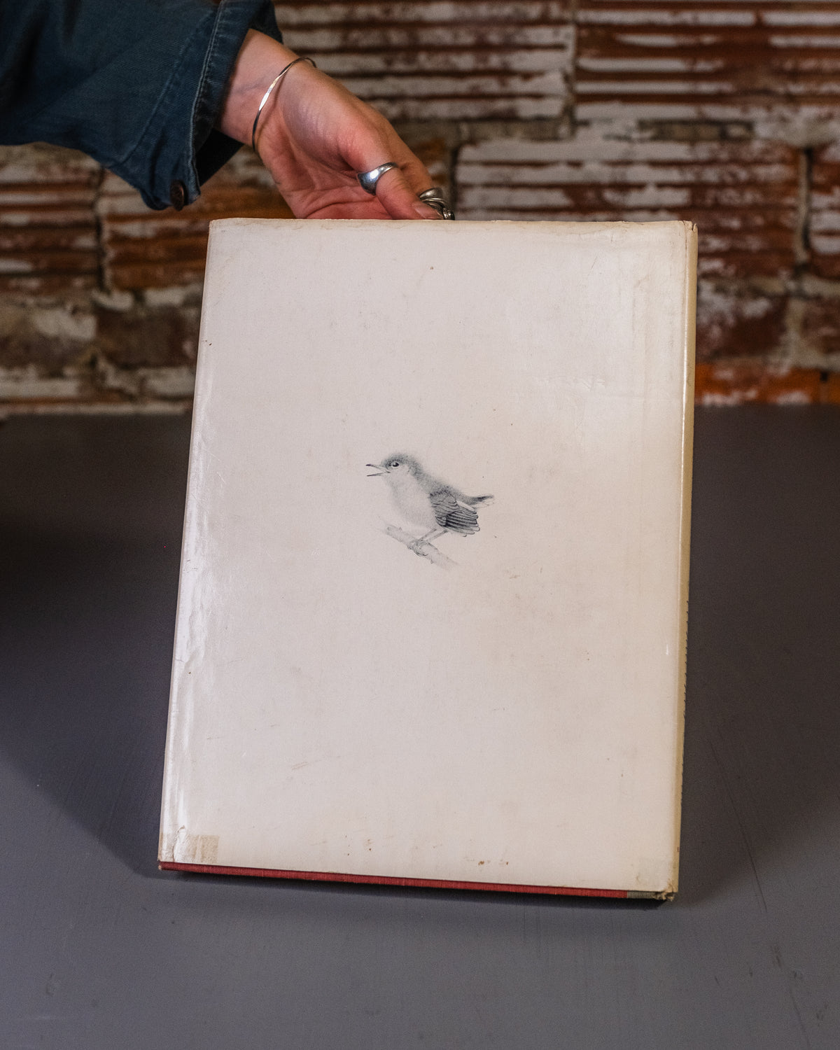 Menaboni's Birds Book