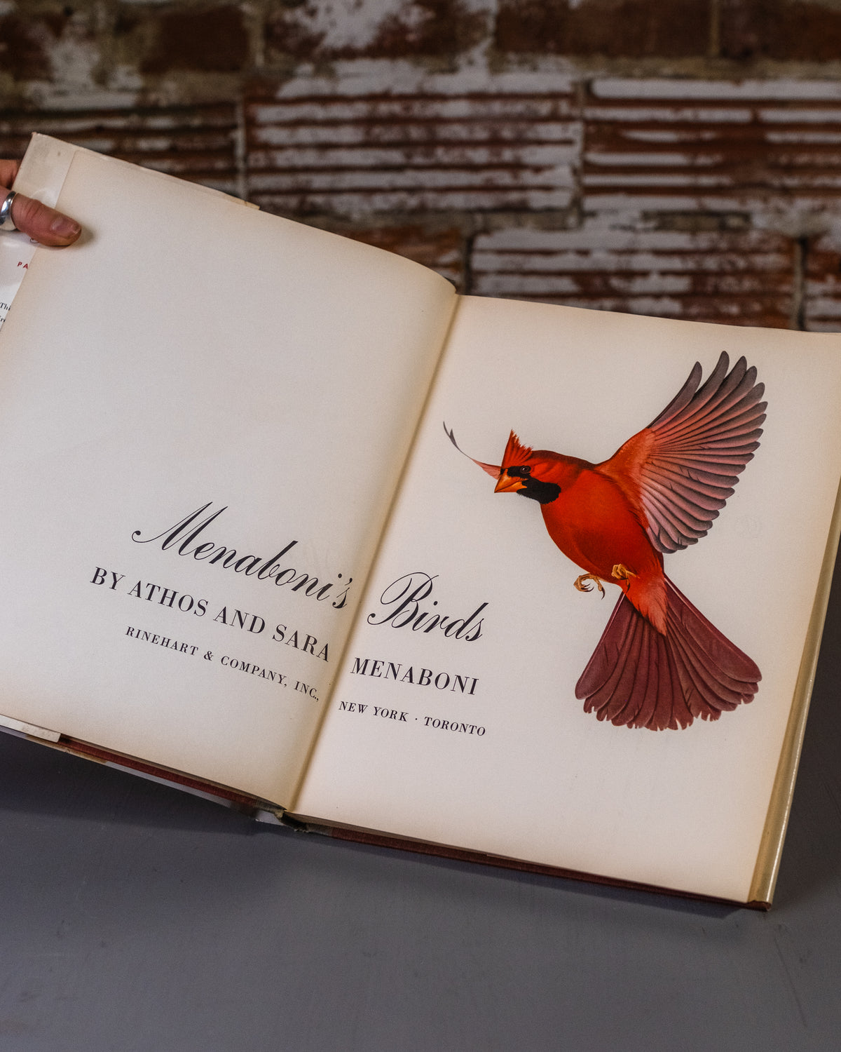Menaboni's Birds Book