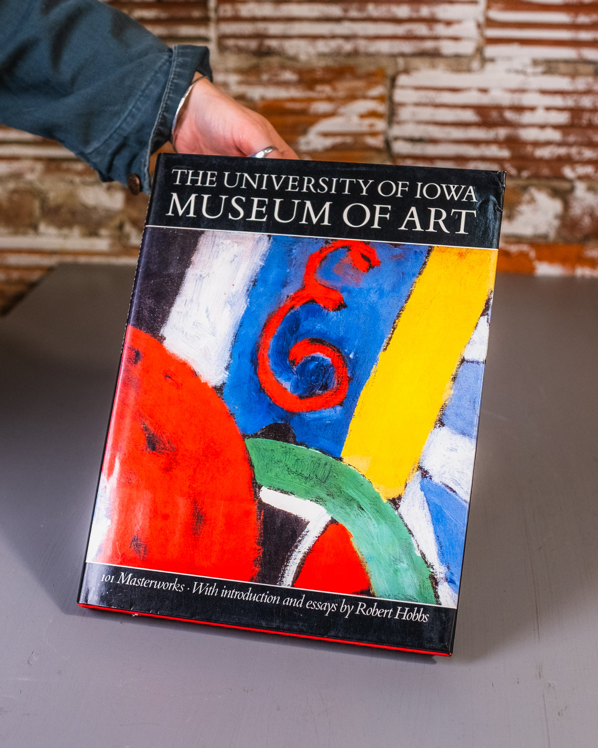 University of Iowa Museum Of Art Book