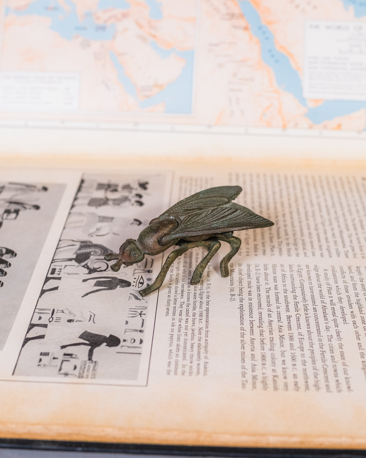 Vintage 1960s-70s Cast Iron Fly Small Ashtray