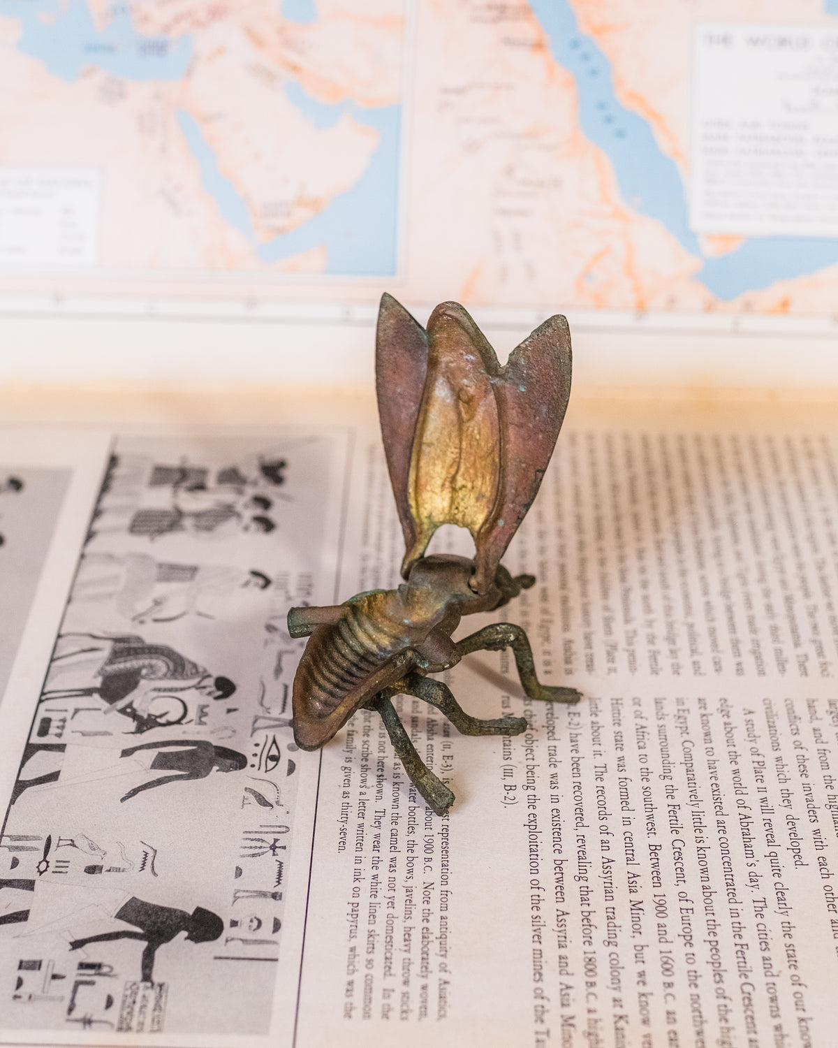Vintage 1960s-70s Cast Iron Fly Small Ashtray