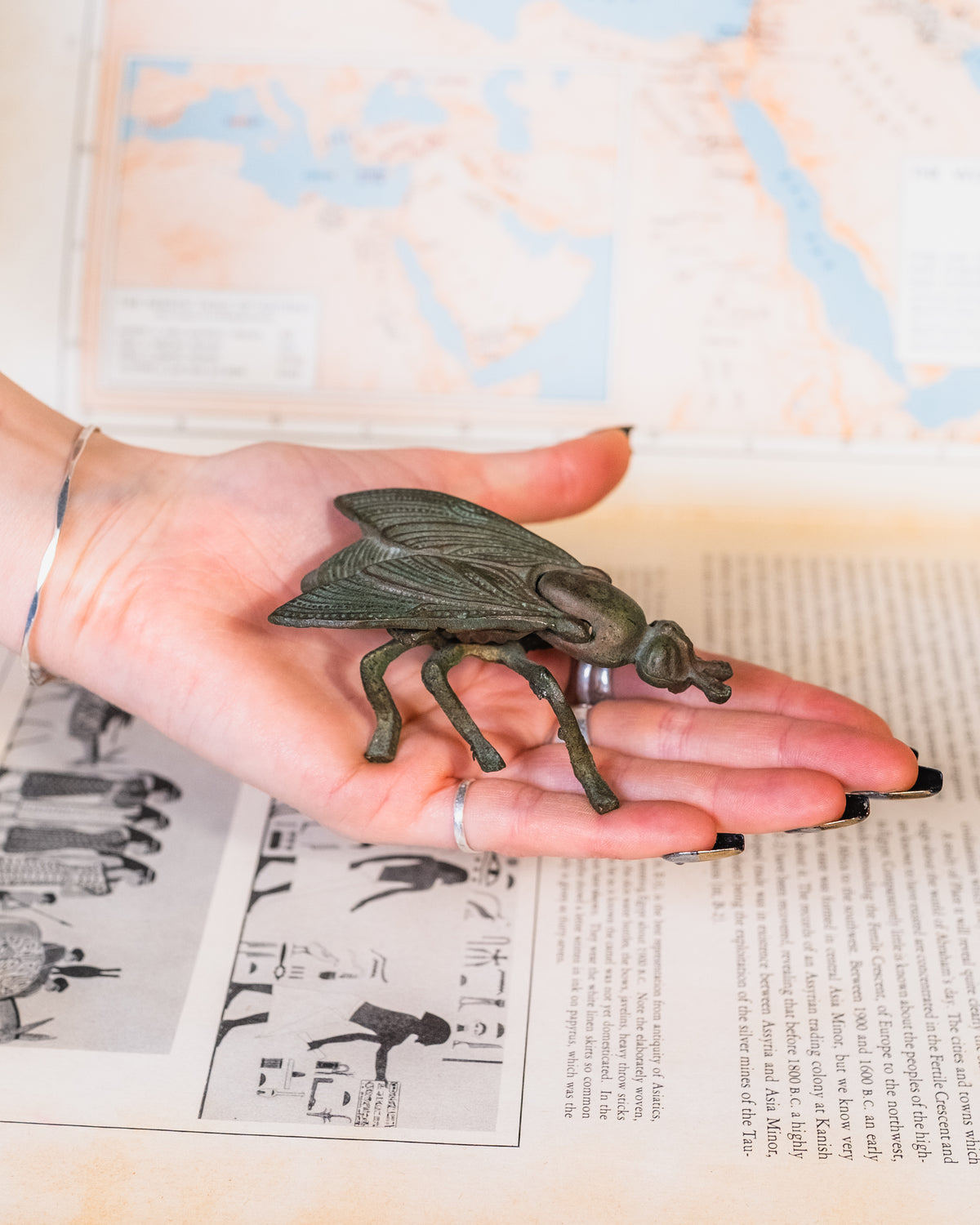 Vintage 1960s-70s Cast Iron Fly Small Ashtray