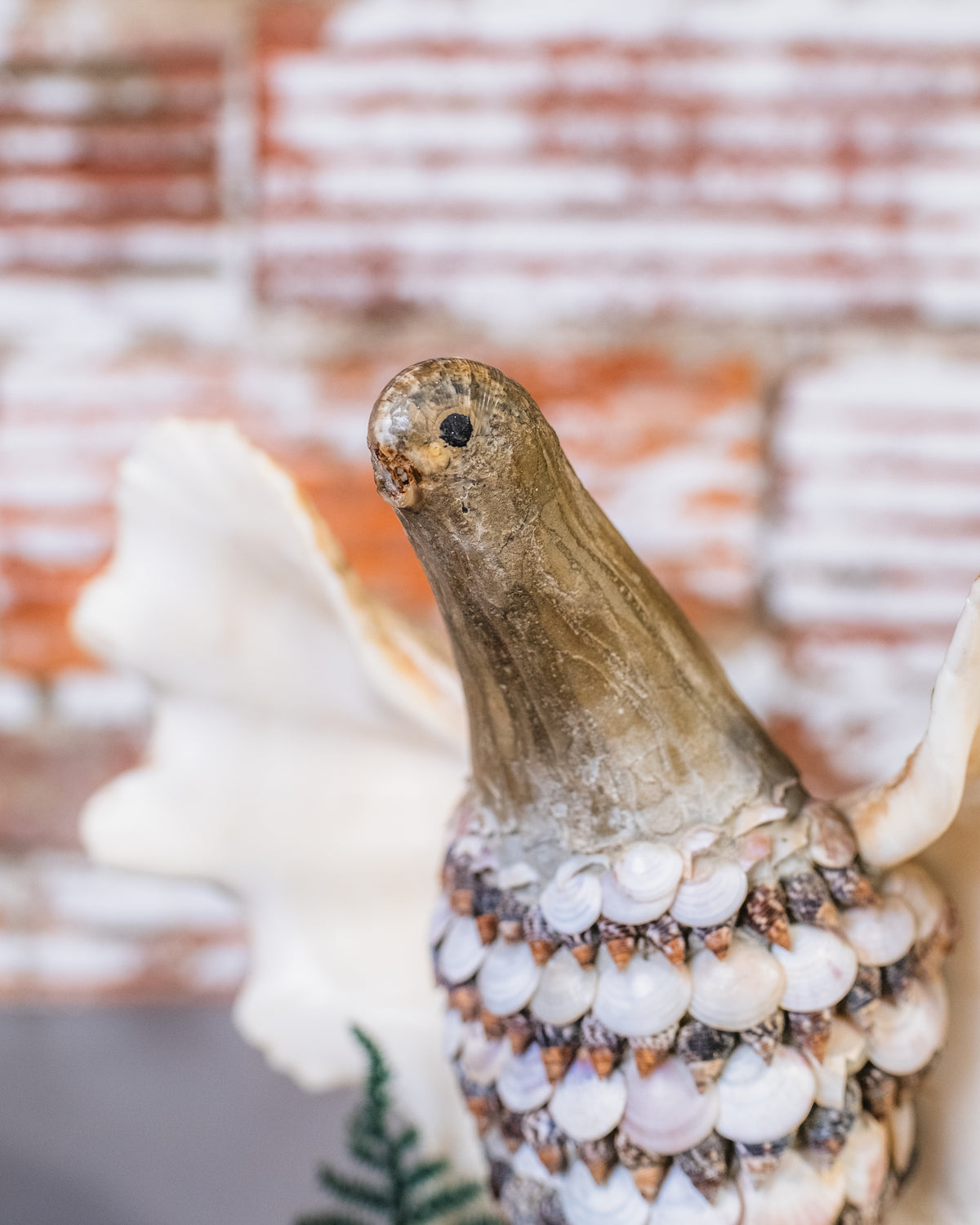 Vintage 1960's Signed Seashell Bird Folk Art Statue