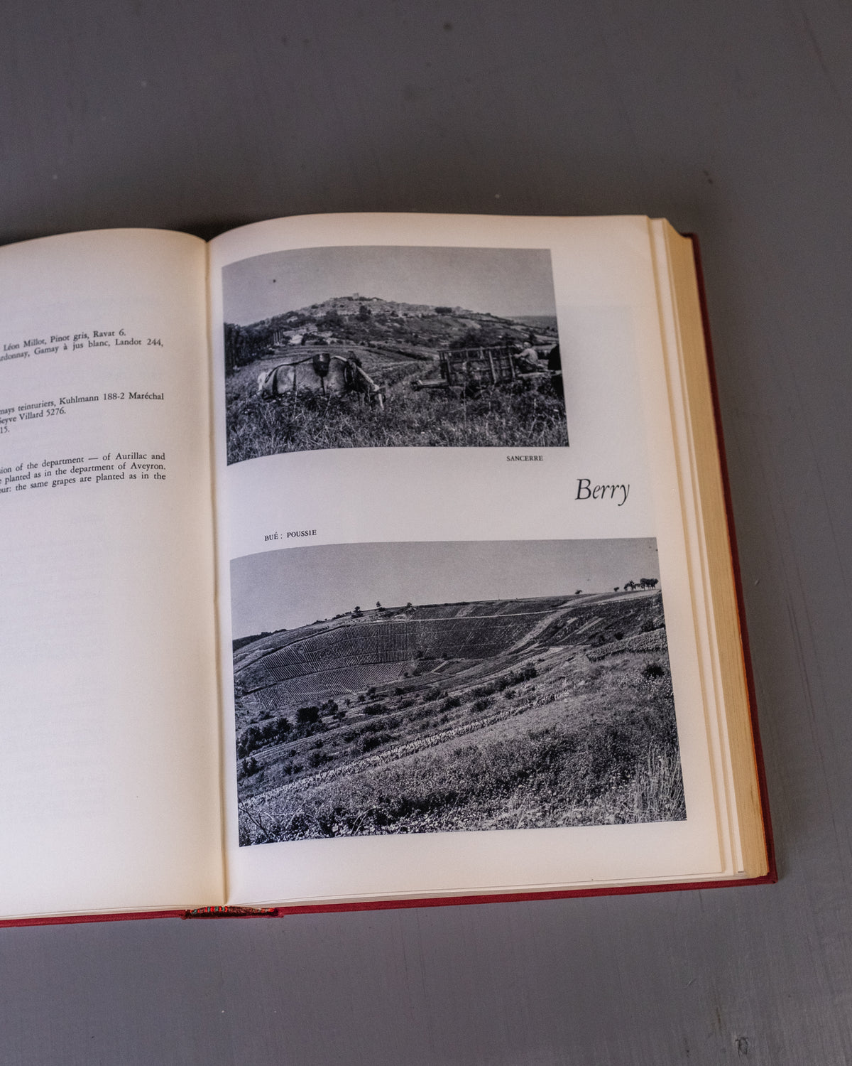 The Wine & Vineyards Of France Book