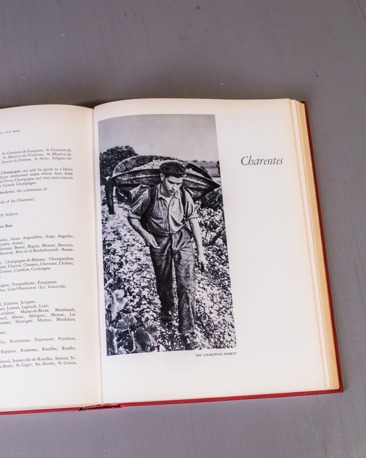 The Wine & Vineyards Of France Book