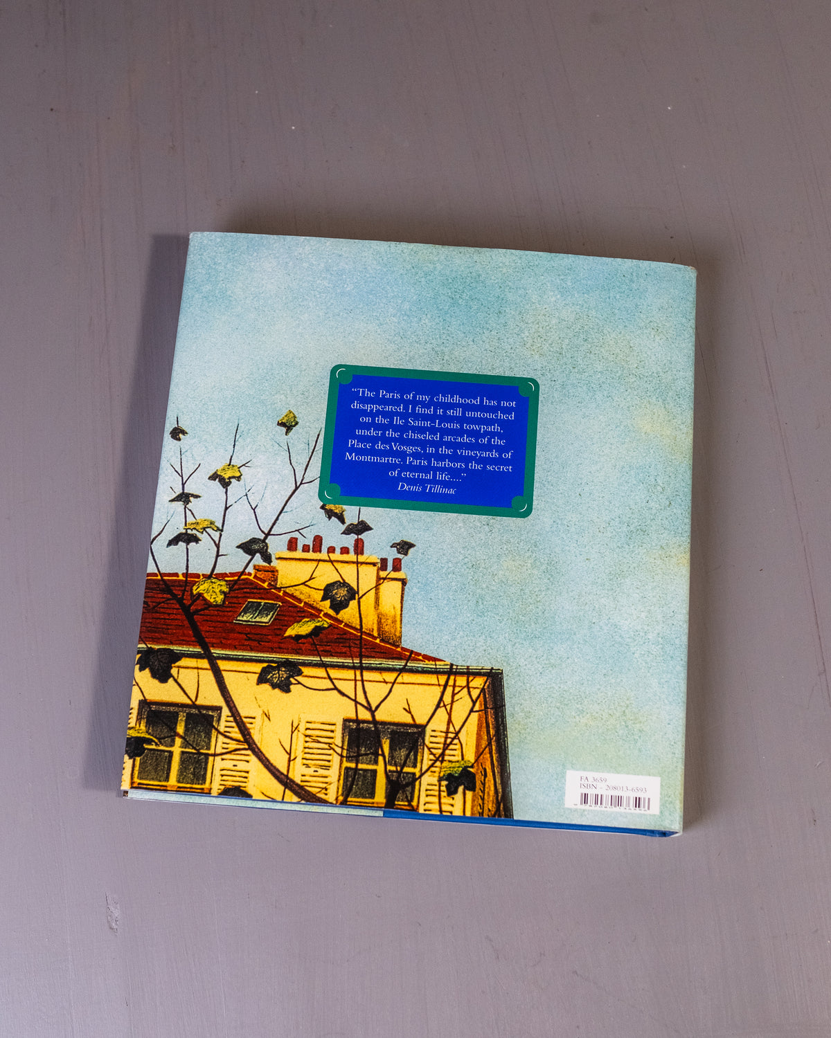 Remembering Paris Book