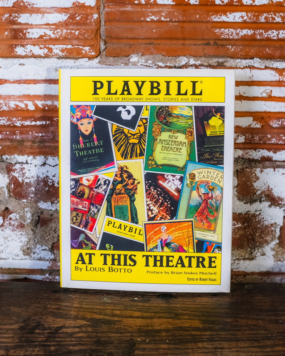 Playbill: At This Theatre Book