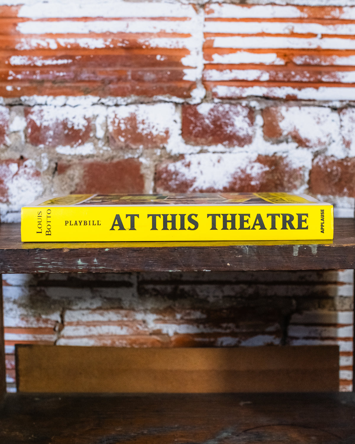 Playbill: At This Theatre Book