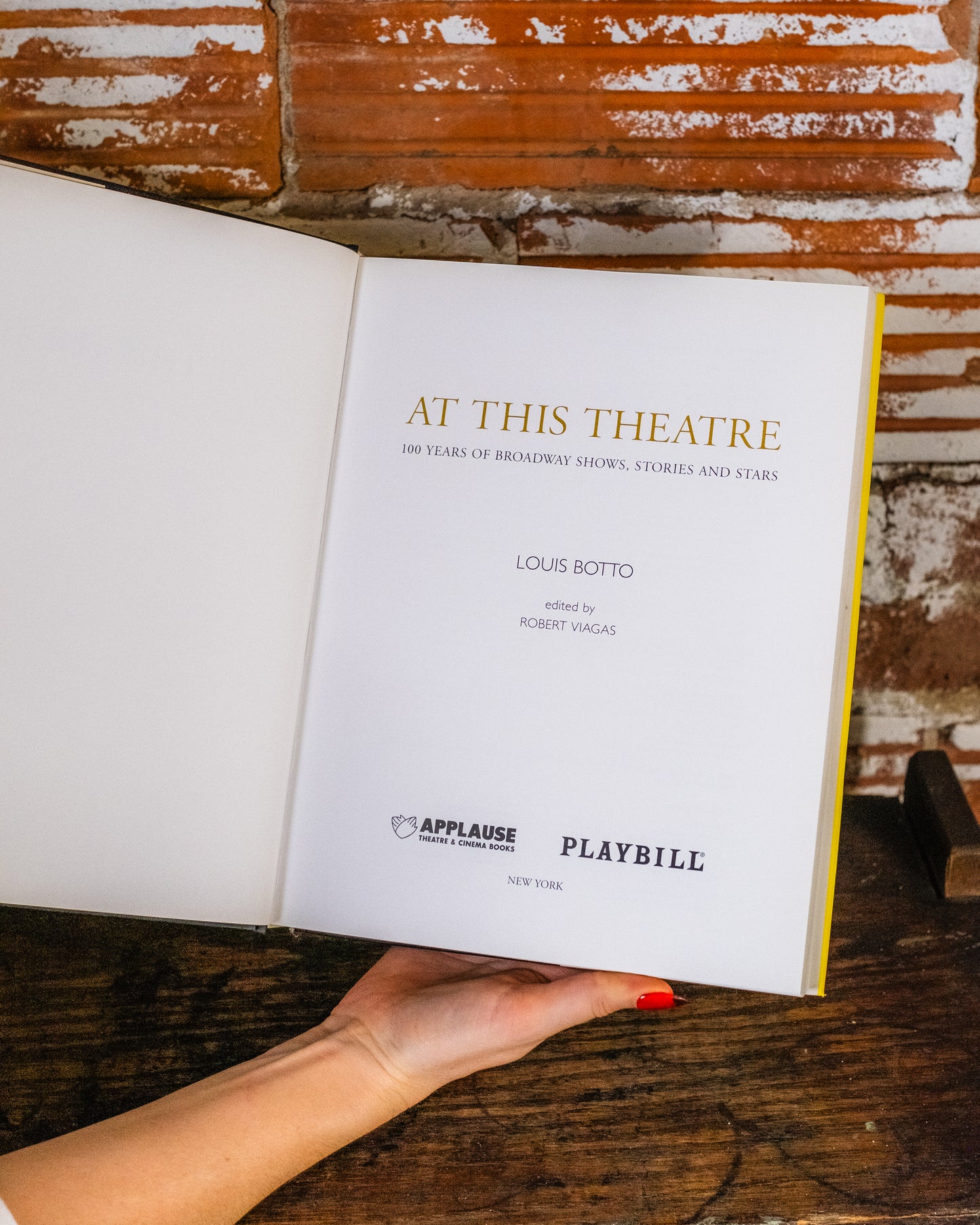 Playbill: At This Theatre Book