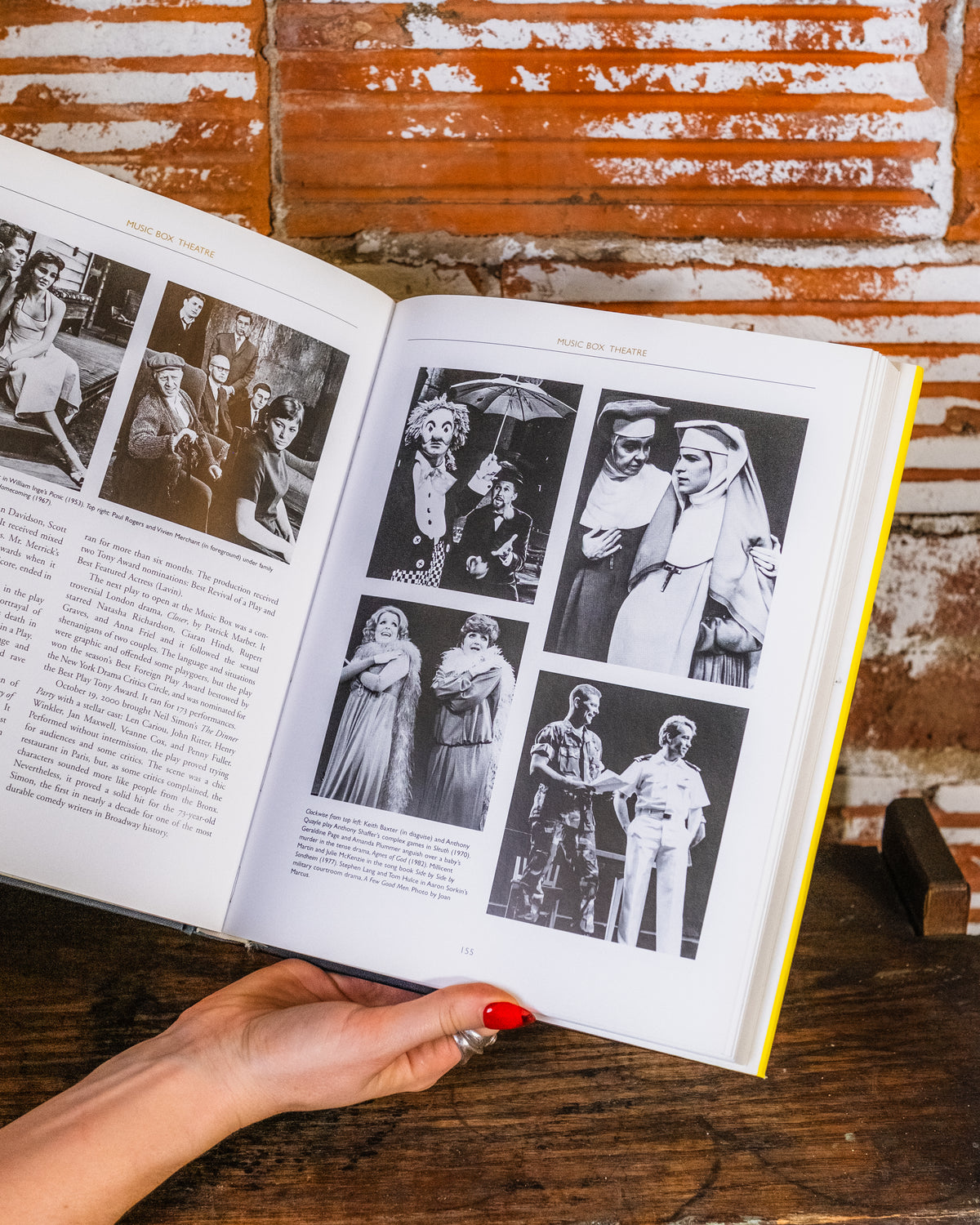 Playbill: At This Theatre Book