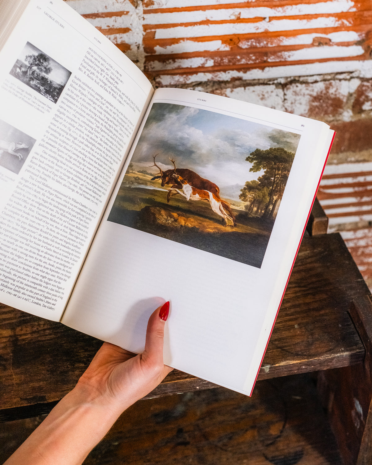 British Painting in the Philadelphia Museum of Art Book