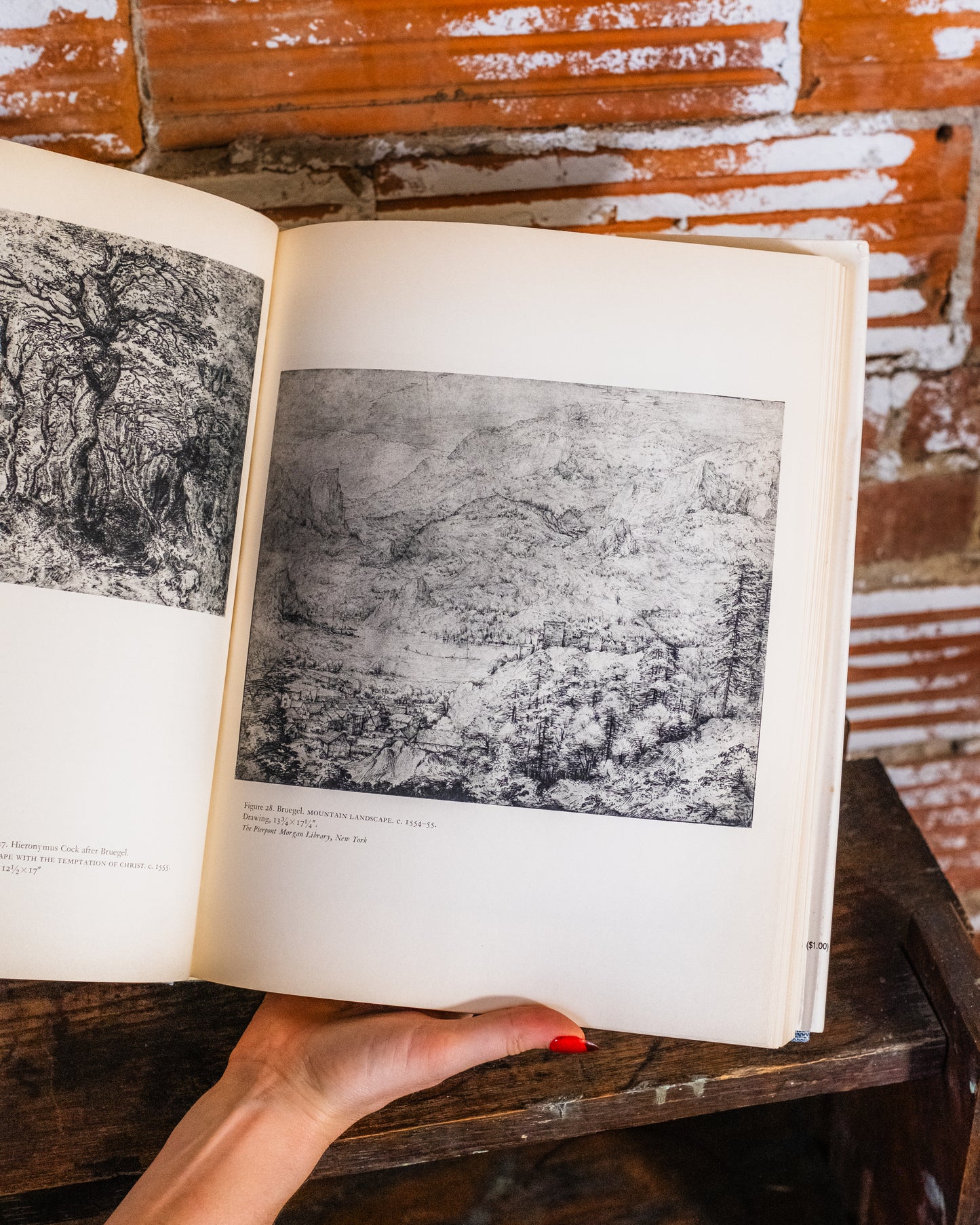 Bruegel Book