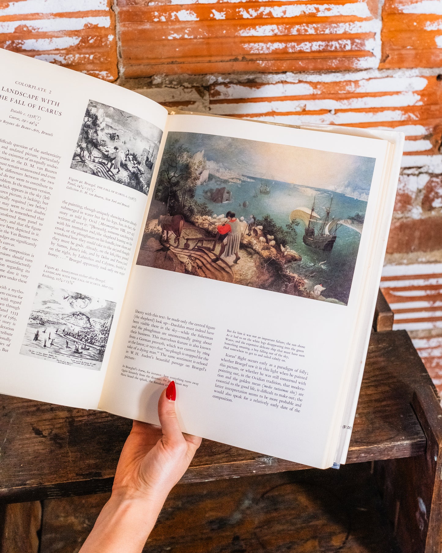 Bruegel Book