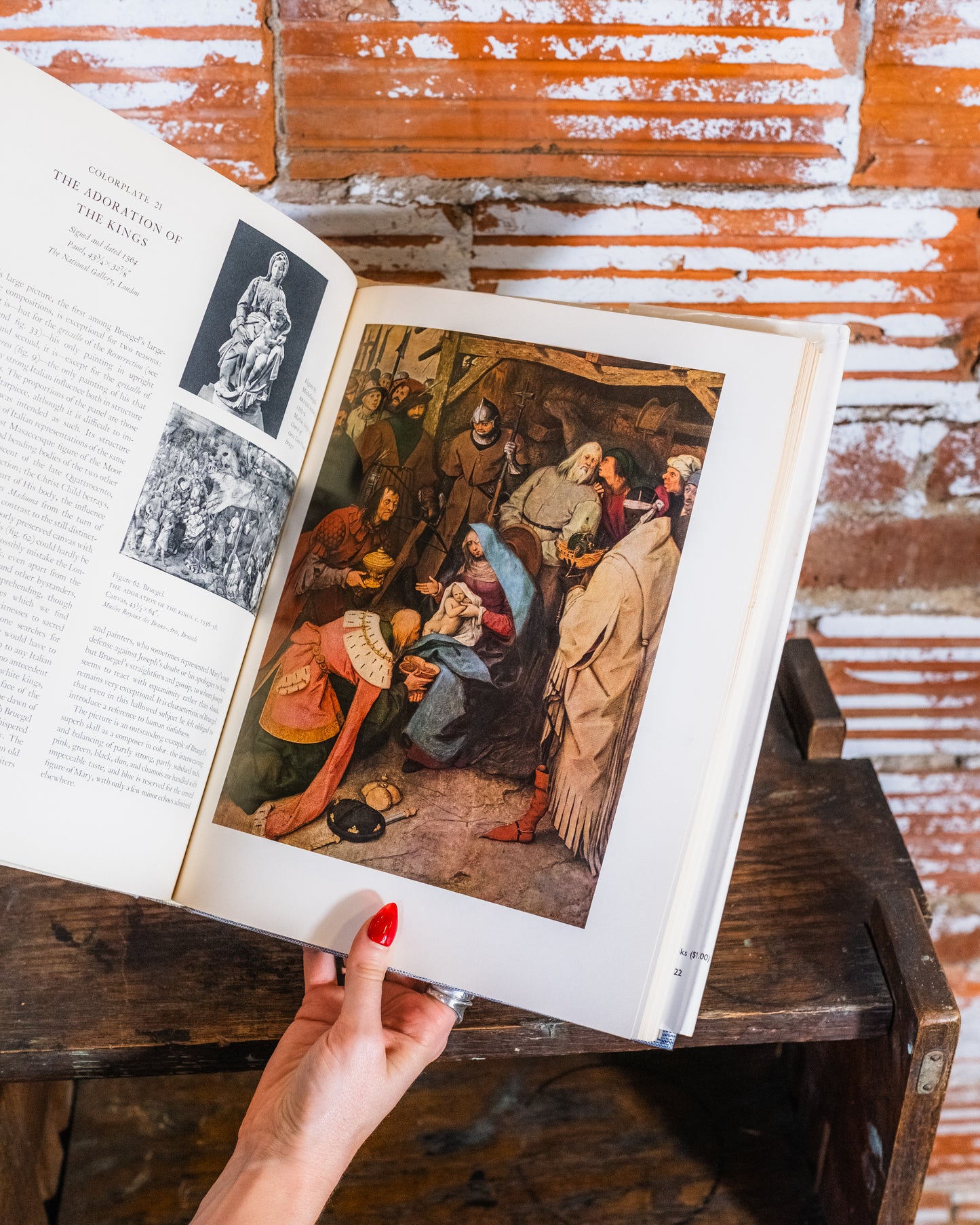 Bruegel Book
