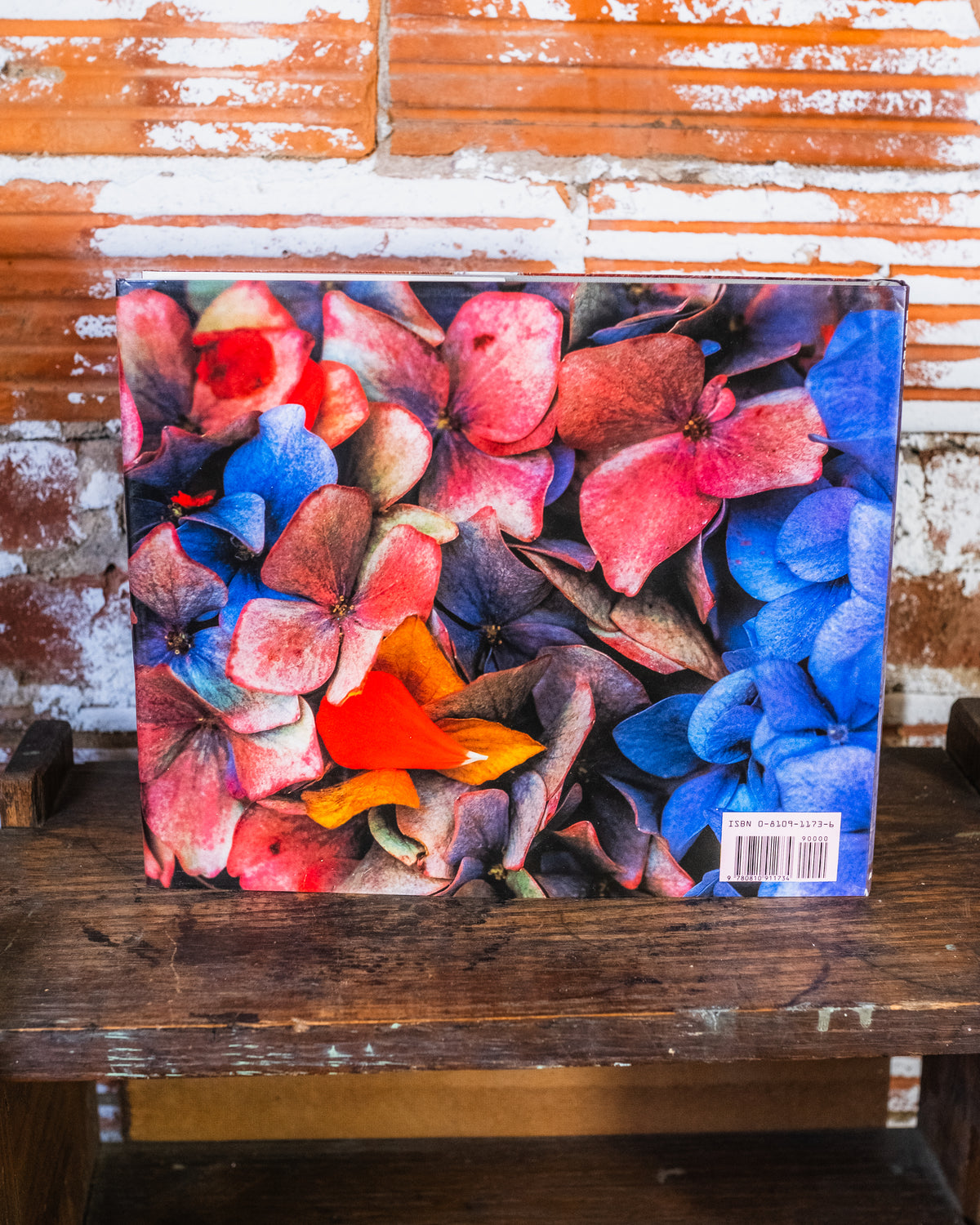 Ernst Haas First Edition Color Photography Book