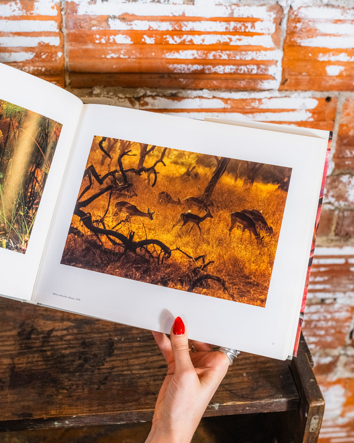 Ernst Haas First Edition Color Photography Book